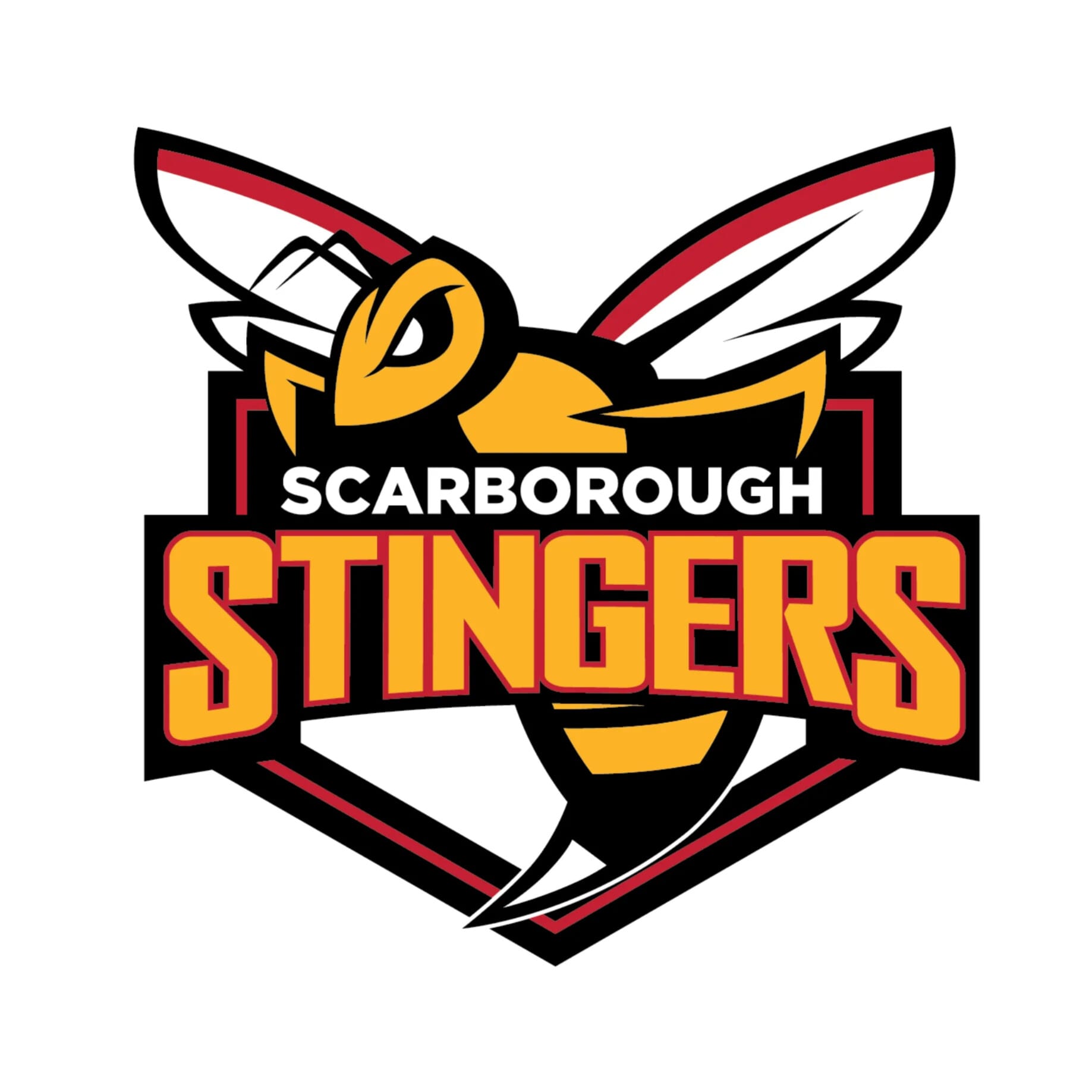 The Scarborough Stingers Story