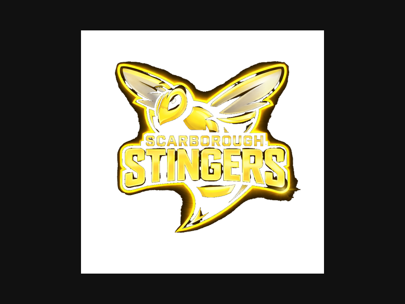 stingers black and yellow 2026